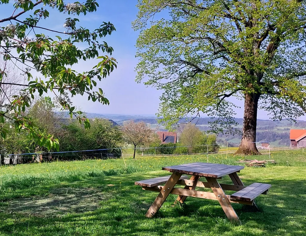 Lindenbaum Camp – Foto 2