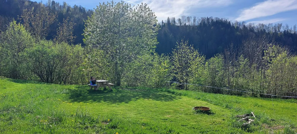 Lindenbaum Camp – Foto 6